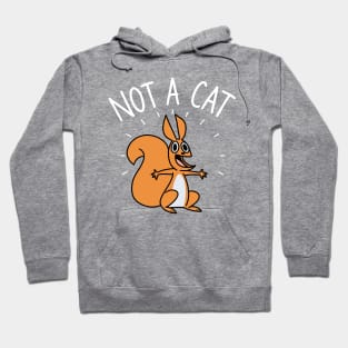 Not A Cat Hoodie